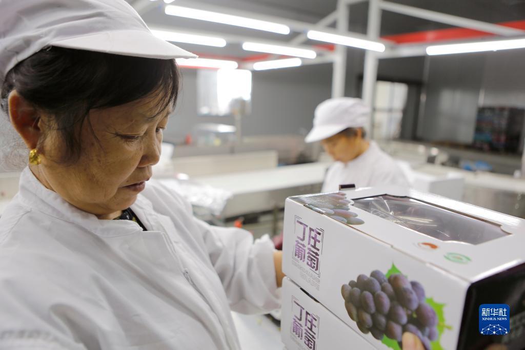 大富豪3内购破解版谁有